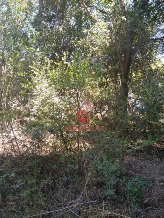 VILLA WARCALDE- EXCELENTE CONJUNTO DE 5 LOTES EN VENTA