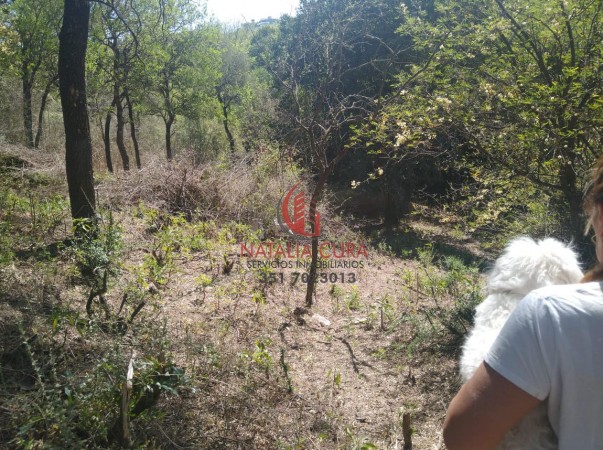 VILLA WARCALDE- EXCELENTE CONJUNTO DE 5 LOTES EN VENTA