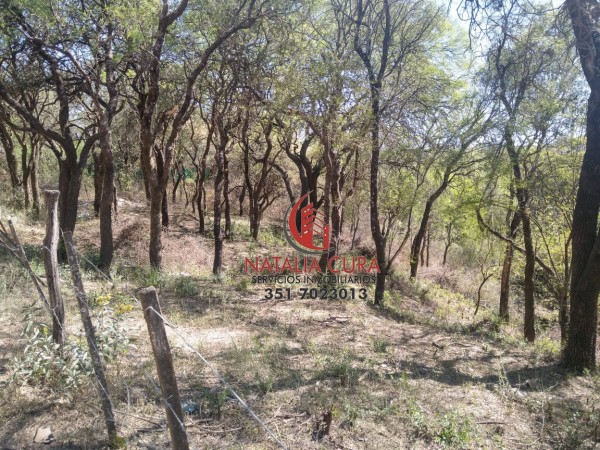 VILLA WARCALDE- EXCELENTE CONJUNTO DE 5 LOTES EN VENTA
