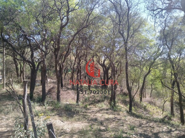 VILLA WARCALDE- EXCELENTE CONJUNTO DE 5 LOTES EN VENTA