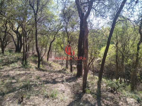 VILLA WARCALDE- EXCELENTE CONJUNTO DE 5 LOTES EN VENTA