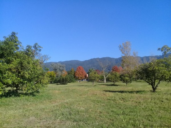TUCUMAN TIERRA EN VENTA APTO EMPRENDIMIENTO INMOBILIARIO ZONA COUNTRYS