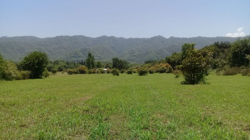 TUCUMAN TIERRA EN VENTA APTO EMPRENDIMIENTO INMOBILIARIO ZONA COUNTRYS