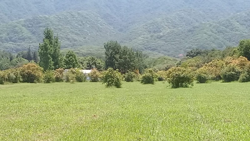 TUCUMAN TIERRA EN VENTA APTO EMPRENDIMIENTO INMOBILIARIO ZONA COUNTRYS