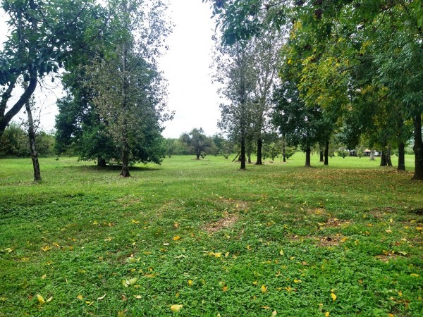 TUCUMAN TIERRA EN VENTA APTO EMPRENDIMIENTO INMOBILIARIO ZONA COUNTRYS