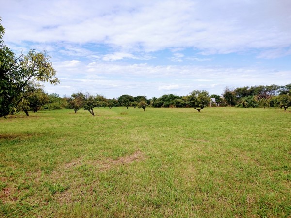 TUCUMAN TIERRA EN VENTA APTO EMPRENDIMIENTO INMOBILIARIO ZONA COUNTRYS