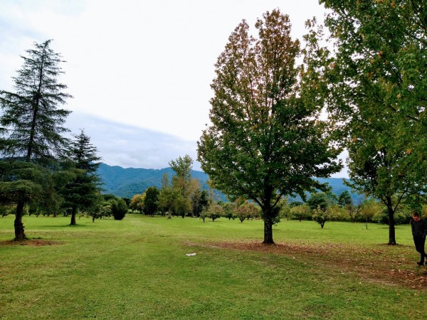 TUCUMAN TIERRA EN VENTA APTO EMPRENDIMIENTO INMOBILIARIO ZONA COUNTRYS