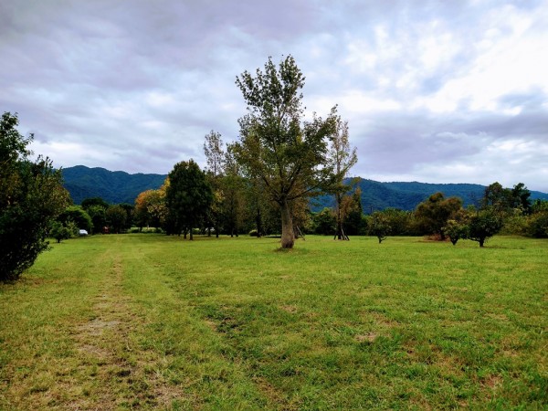 TUCUMAN TIERRA EN VENTA APTO EMPRENDIMIENTO INMOBILIARIO ZONA COUNTRYS