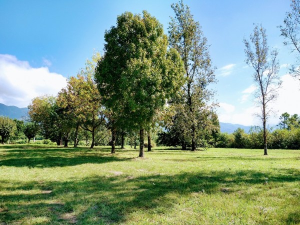 TUCUMAN TIERRA EN VENTA APTO EMPRENDIMIENTO INMOBILIARIO ZONA COUNTRYS