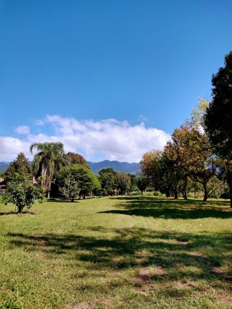 TUCUMAN TIERRA EN VENTA APTO EMPRENDIMIENTO INMOBILIARIO ZONA COUNTRYS