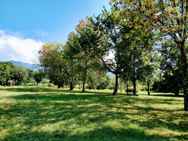 TUCUMAN TIERRA EN VENTA APTO EMPRENDIMIENTO INMOBILIARIO ZONA COUNTRYS