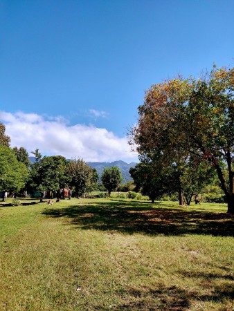 TUCUMAN TIERRA EN VENTA APTO EMPRENDIMIENTO INMOBILIARIO ZONA COUNTRYS
